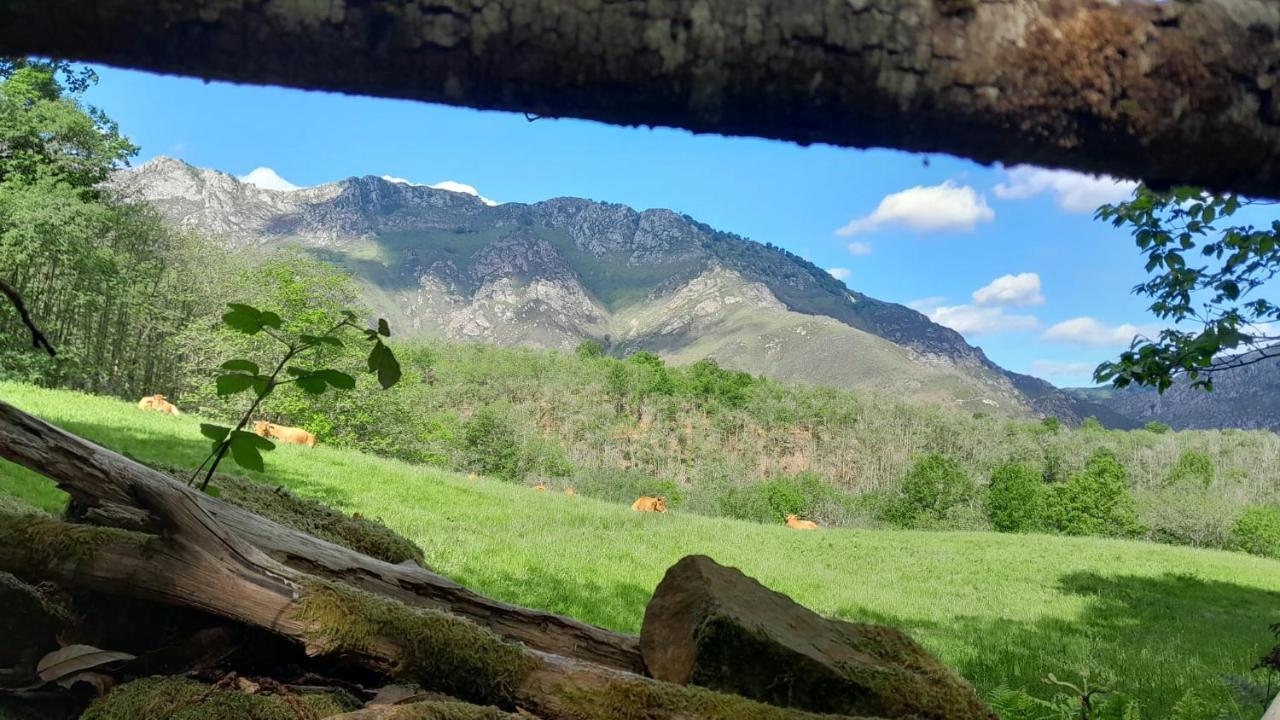 Hotel Rural El Secreto De Julia Ríoseco Eksteriør billede
